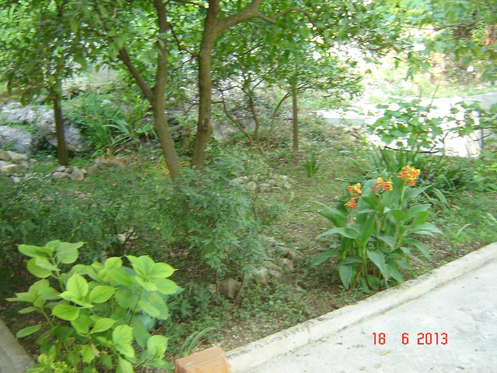 Apartments Dobrisa Kotor Kültér fotó